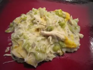 Cheesy chicken enchilada casserole served on a red plate