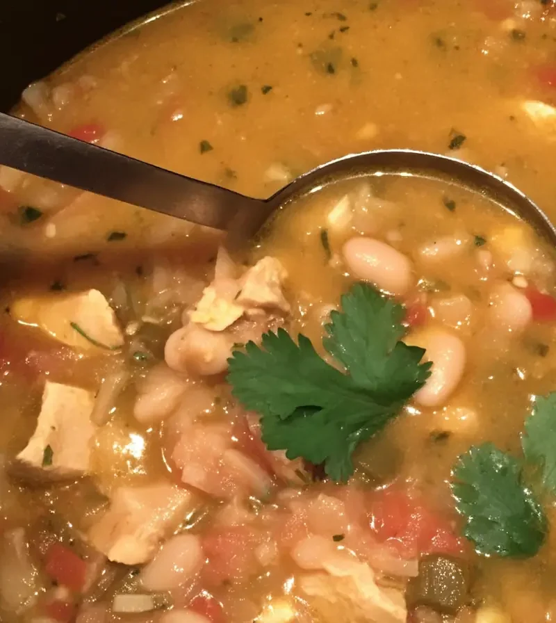Creamy white chicken chili in a Dutch oven with chunks of chicken, cannellini beans, green chiles, tomatoes, and fresh cilantro garnish.