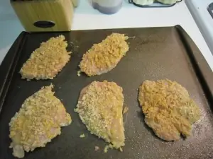 Onion Crusted Chicken Recipe