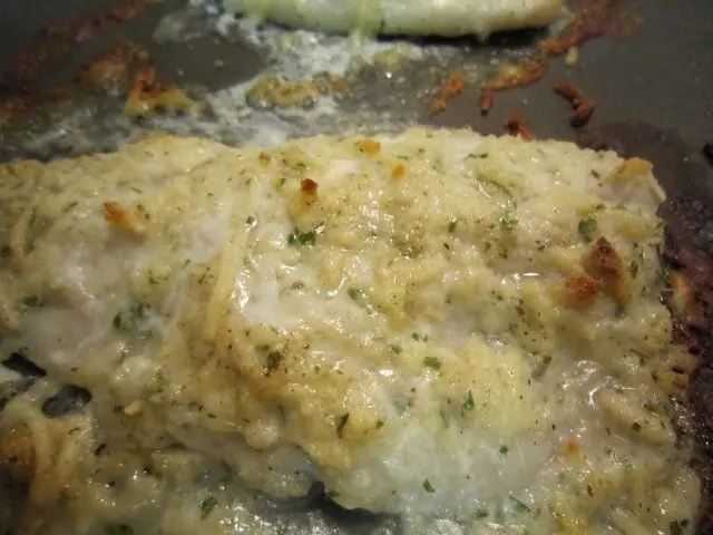 Close-up of baked Parmesan Crusted Alaskan Pollock fillet with a golden cheese and ranch seasoning crust, fresh from the oven on a baking tray.